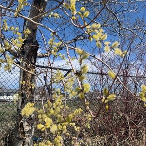 Meet your Posher, Cam